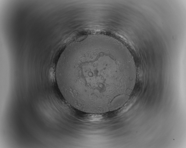 X0000093750719200710161157