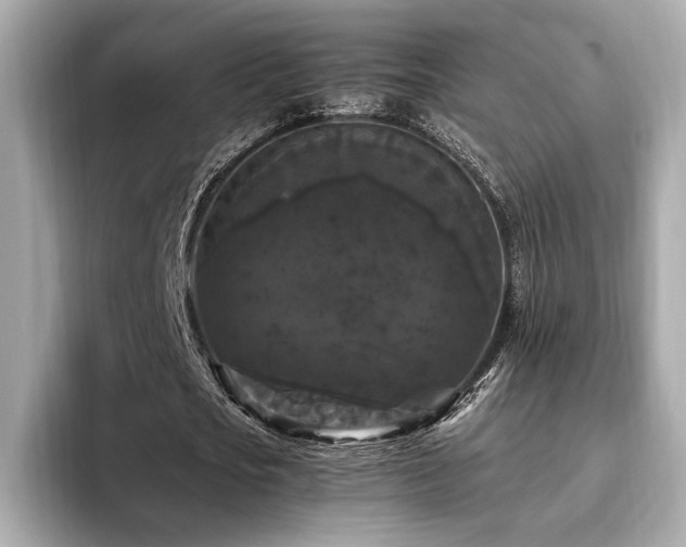 X0000093750721200710161157
