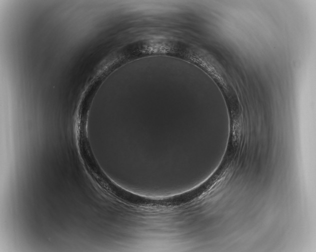 X0000093750722200710161157