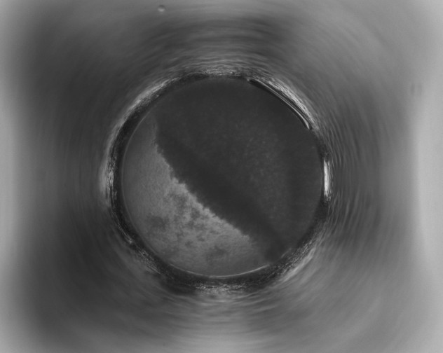 X0000093750723200710161157