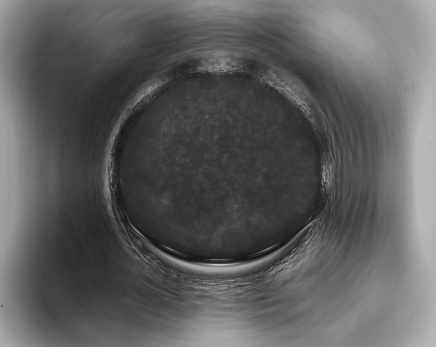 X0000093750724200710161157