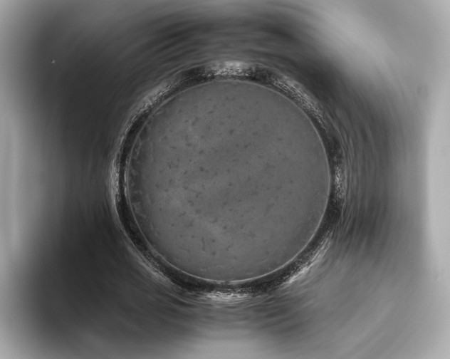X0000093750725200710161157