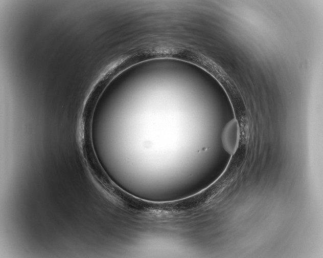 X0000093750726200710161157
