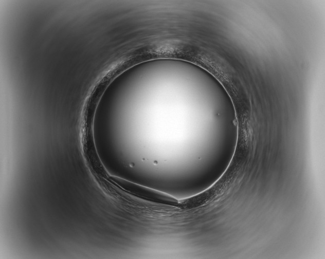 X0000093750728200710161157