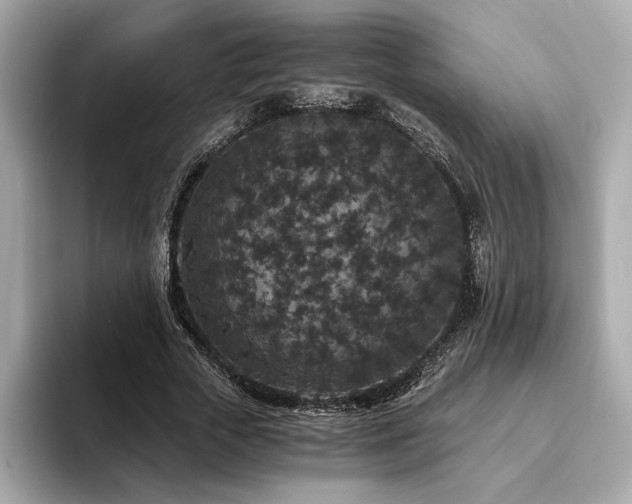 X0000093750729200710161157