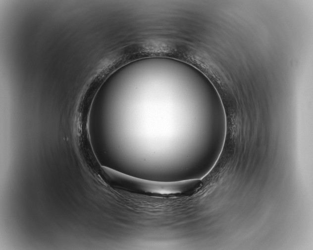 X0000093750731200710161157