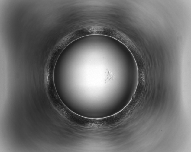 X0000093750732200710161157