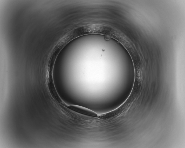 X0000093750733200710161157
