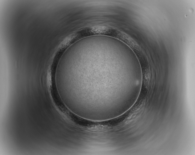X0000093750734200710161157
