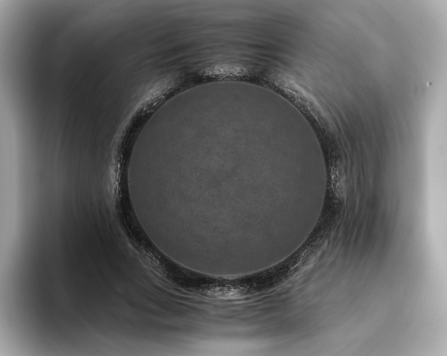 X0000093750735200710161157