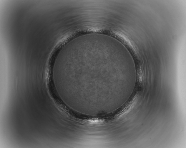 X0000093750736200710161157