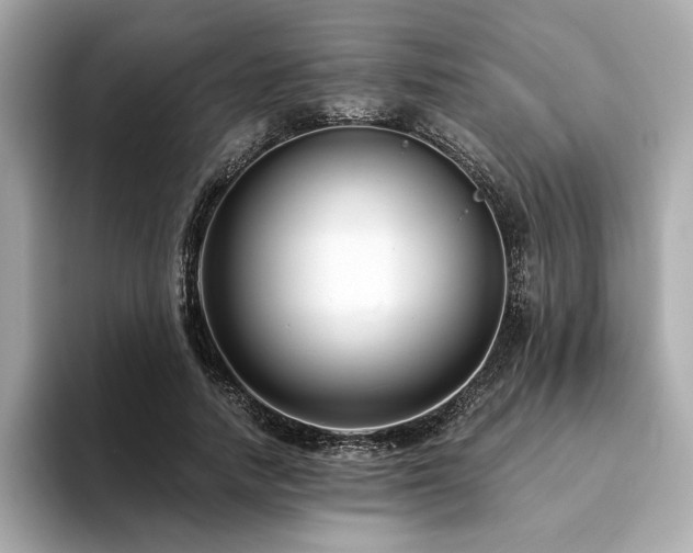 X0000093750738200710161157