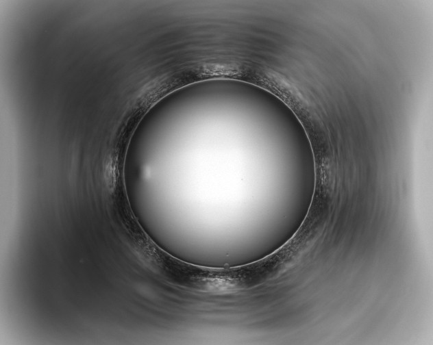 X0000093750741200710161157