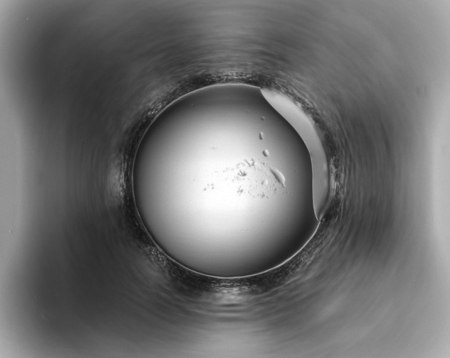 X0000093750746200710161157