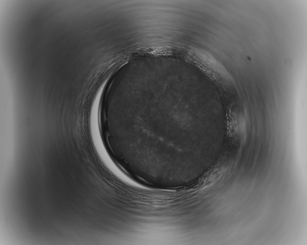 X0000093750748200710161157