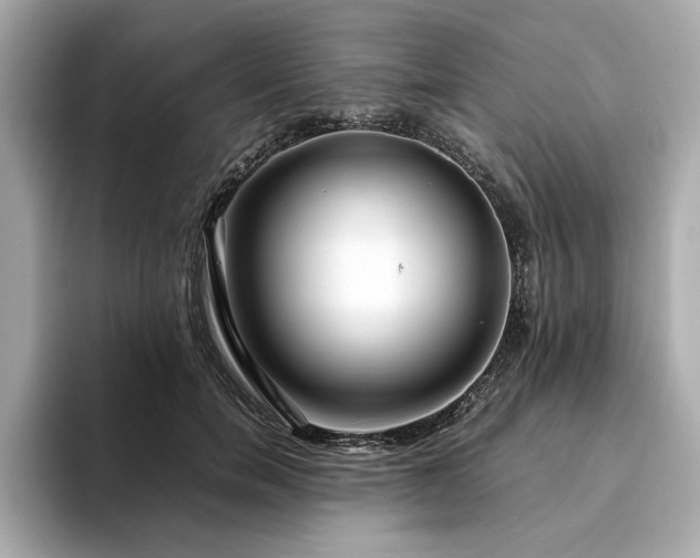 X0000093750750200710161157