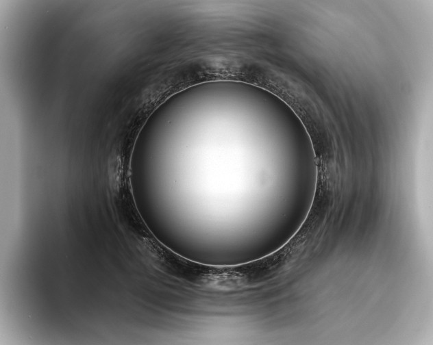 X0000093750752200710161157