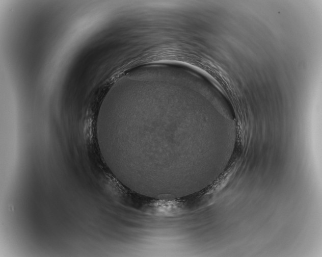 X0000093750762200710161157