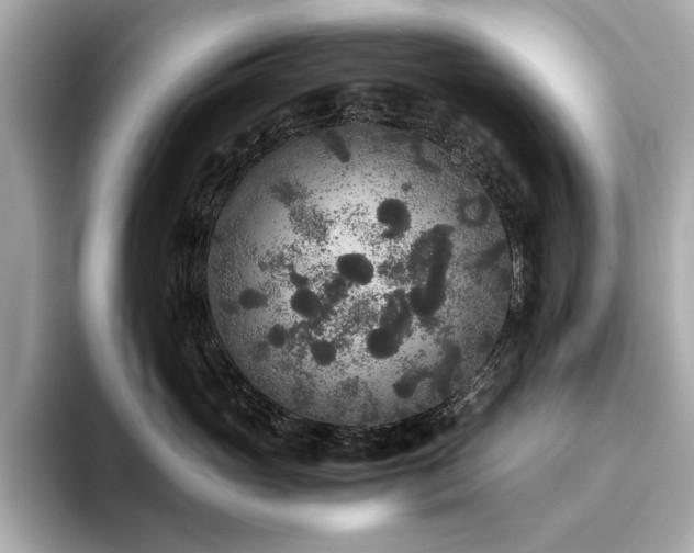 X0000093750765200710161157