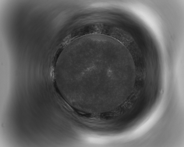 X0000093750766200710161157