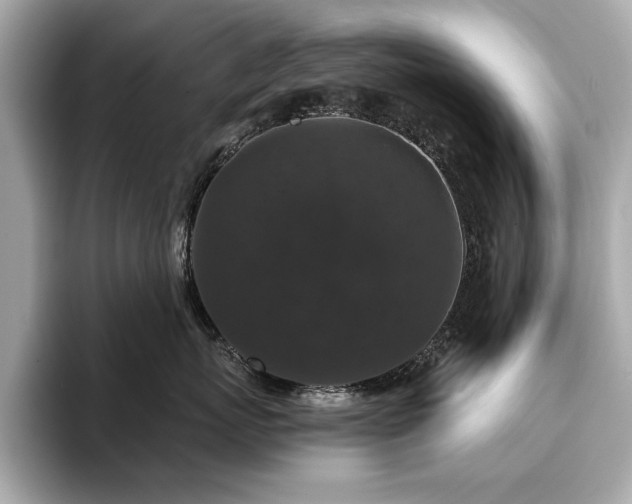 X0000093750767200710161157