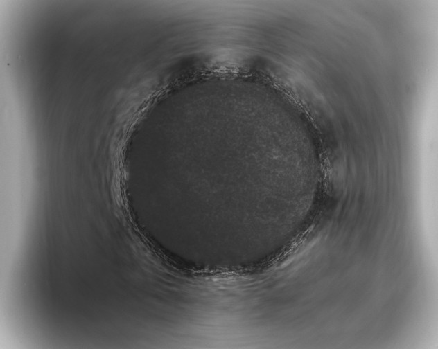 X0000093750769200710161157