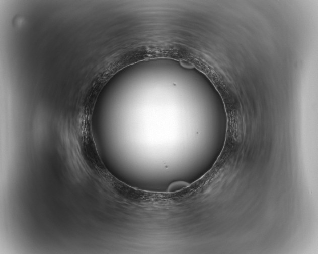 X0000093750770200710161157
