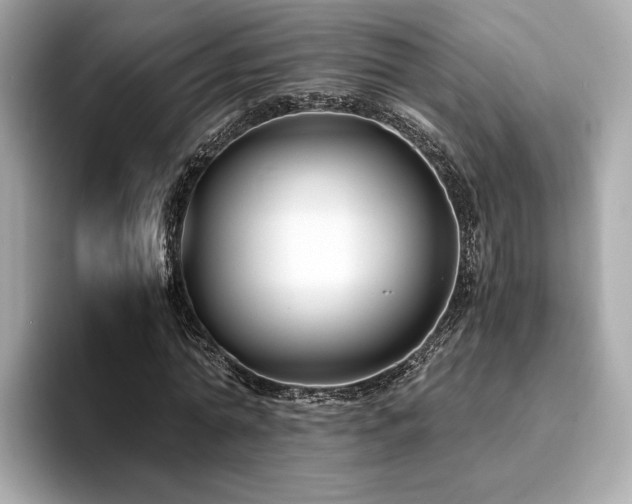 X0000093750774200710161157