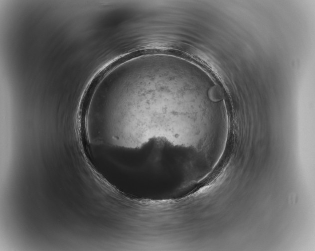 X0000093750779200710161157