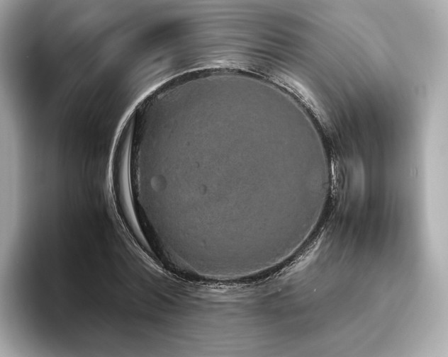 X0000093750780200710161157