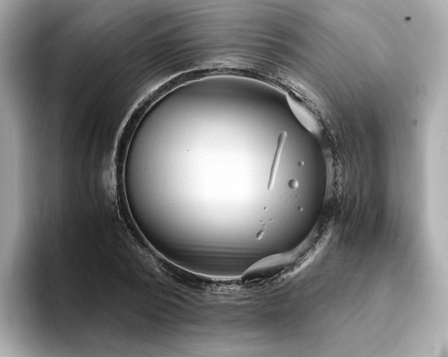 X0000093750784200710161157