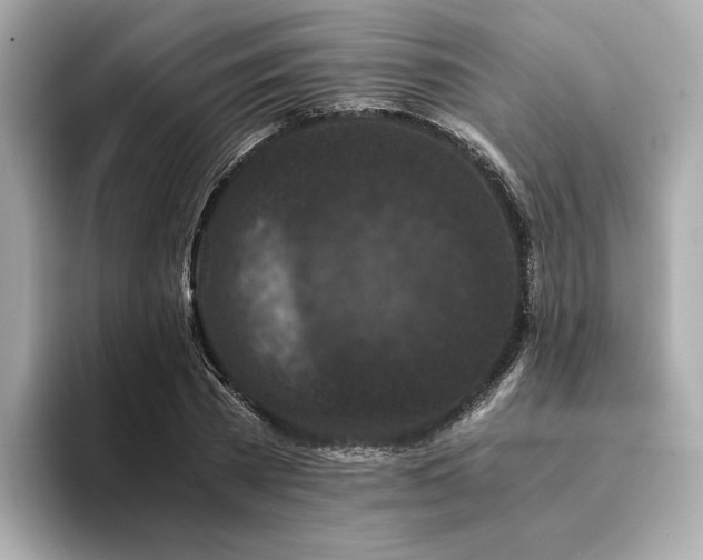 X0000093750785200710161157
