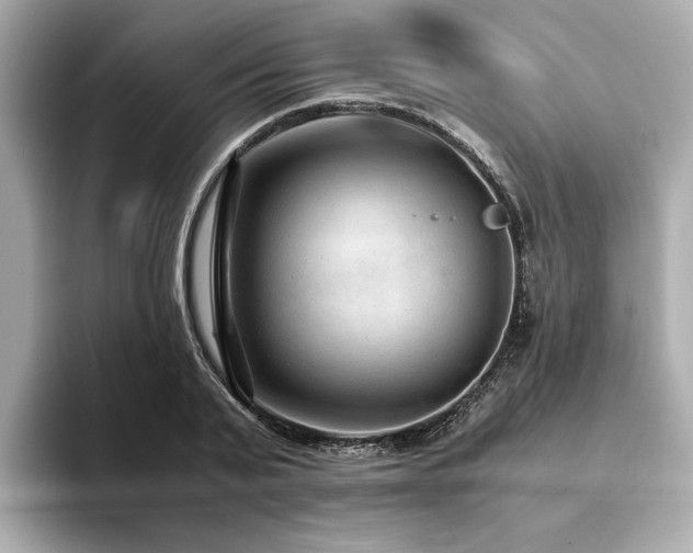X0000093750791200710161156