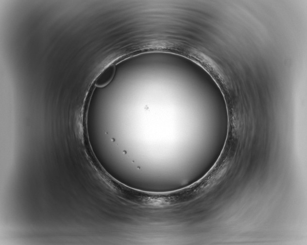 X0000093750794200710161156