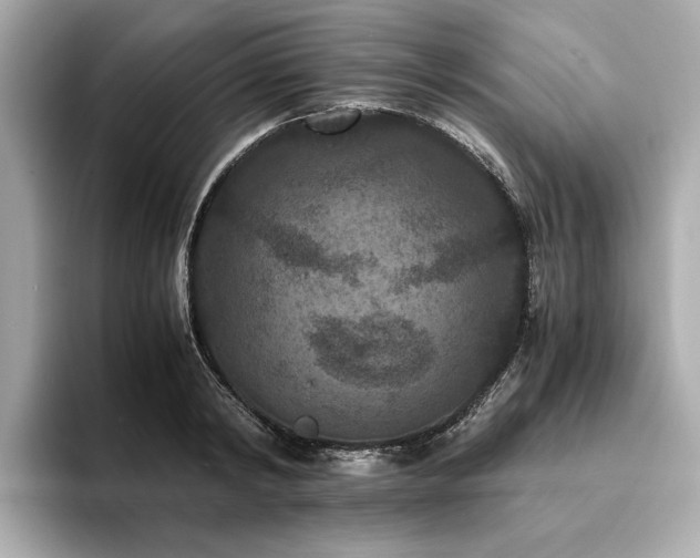 X0000093750798200710161156