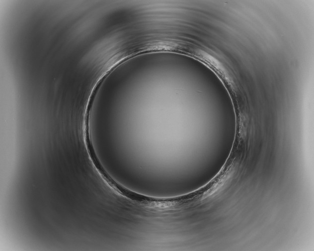X0000093750802200710161156