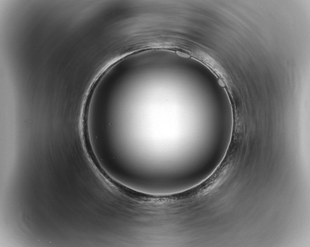 X0000093750803200710161156