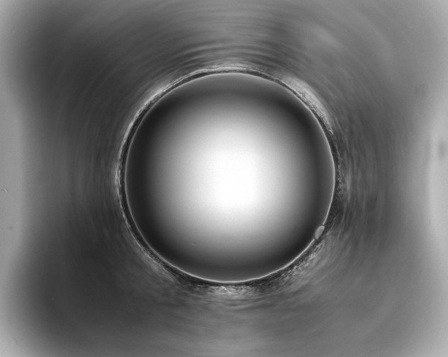 X0000093750805200710161156