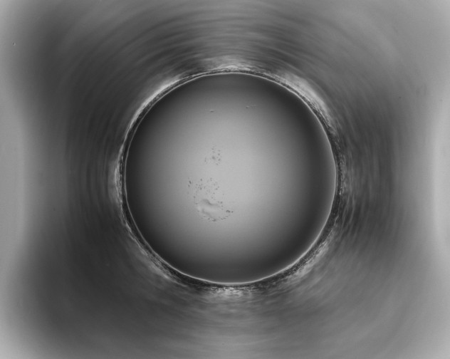 X0000093750806200710161156