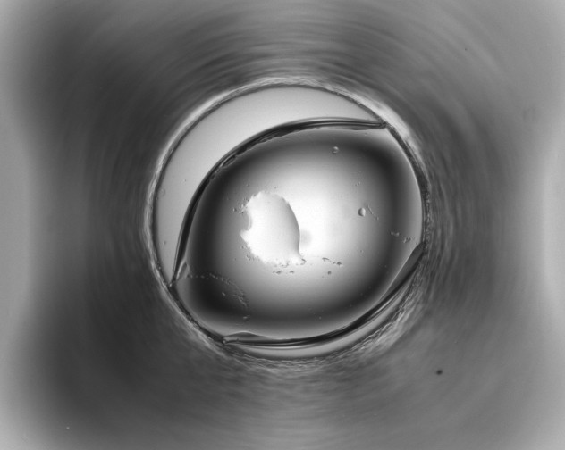X0000093750807200710161156