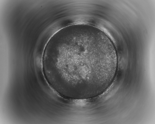 X0000093750810200710161156