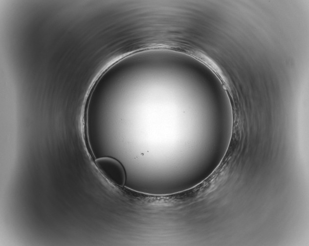 X0000093750811200710161156