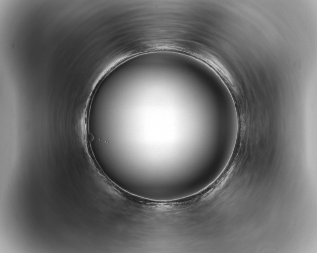 X0000093750814200710161156