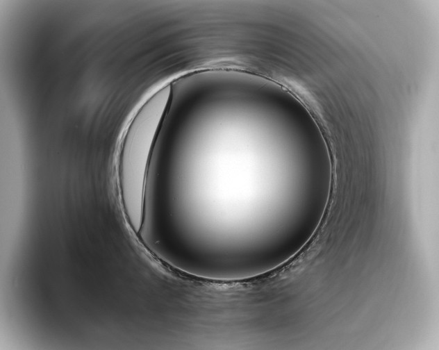 X0000093750816200710161156