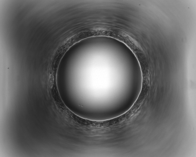 X0000093750821200710161156