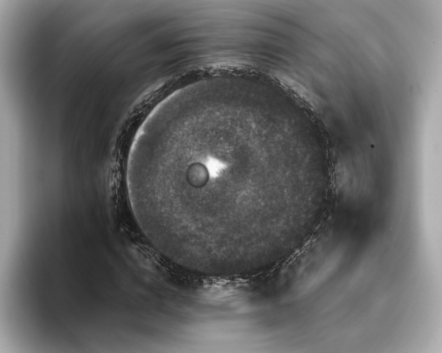X0000093750824200710161156