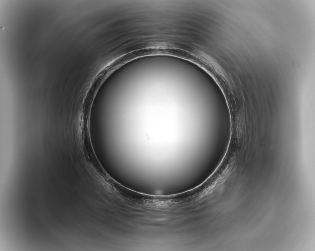 X0000093750831200710161156