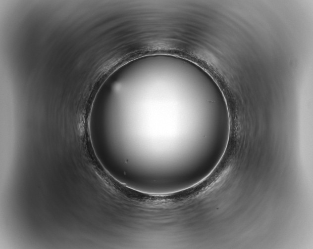 X0000093750833200710161156