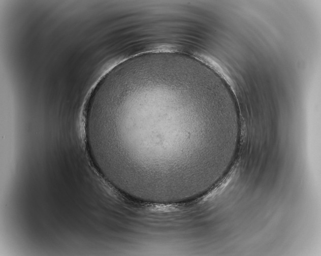 X0000093750835200710161156