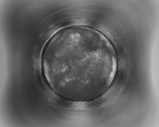 X0000093750836200710161156